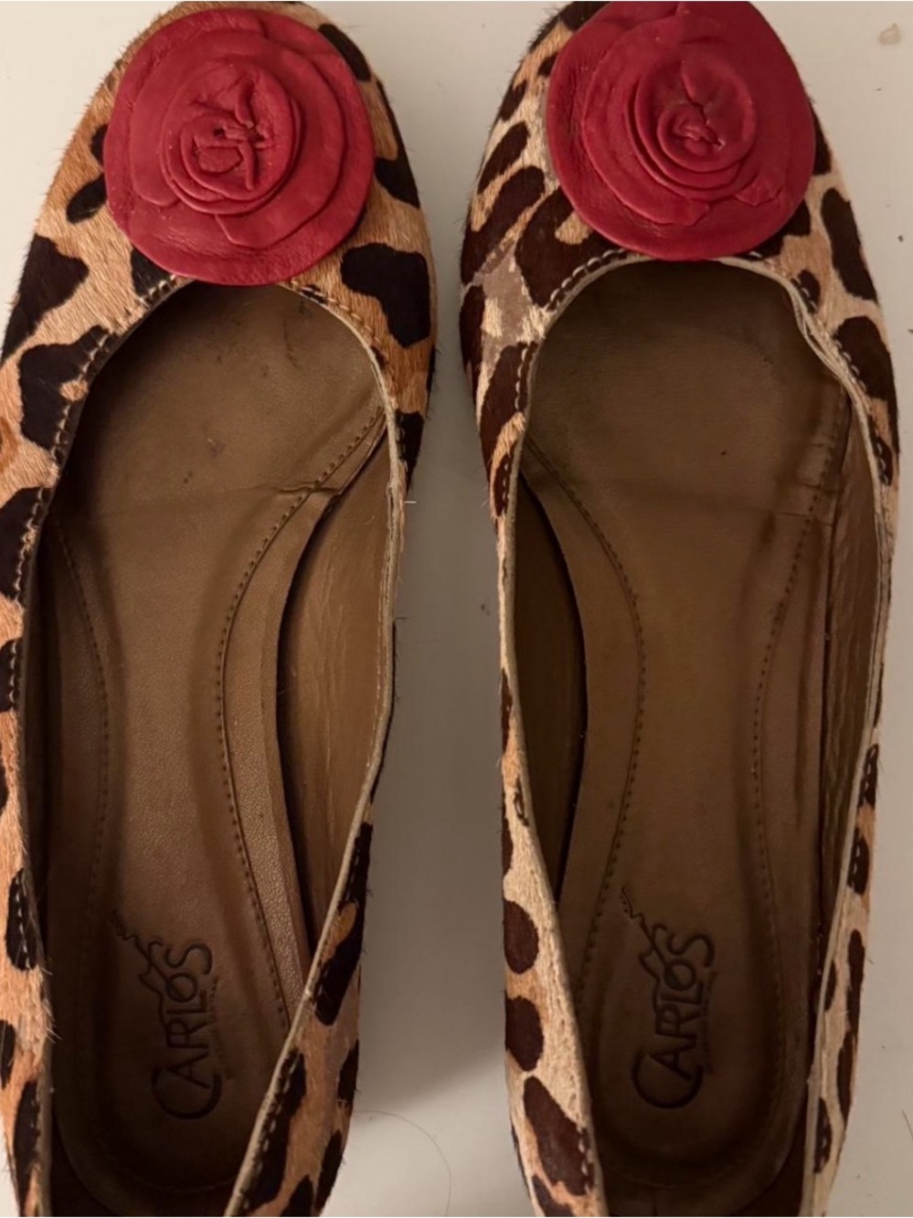 Carlos by Carlos Santana Leopard Flats with Red Rosette
